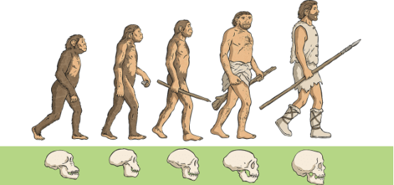 The Definitive Guide to Animal Evolution, Adaptation, and Natural Selection