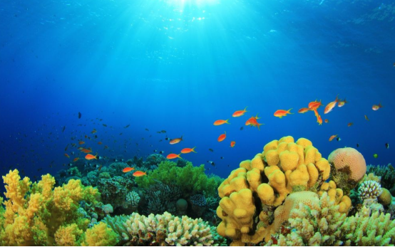 The Ultimate Guide to Ocean-Friendly Living and Sustainable Travel