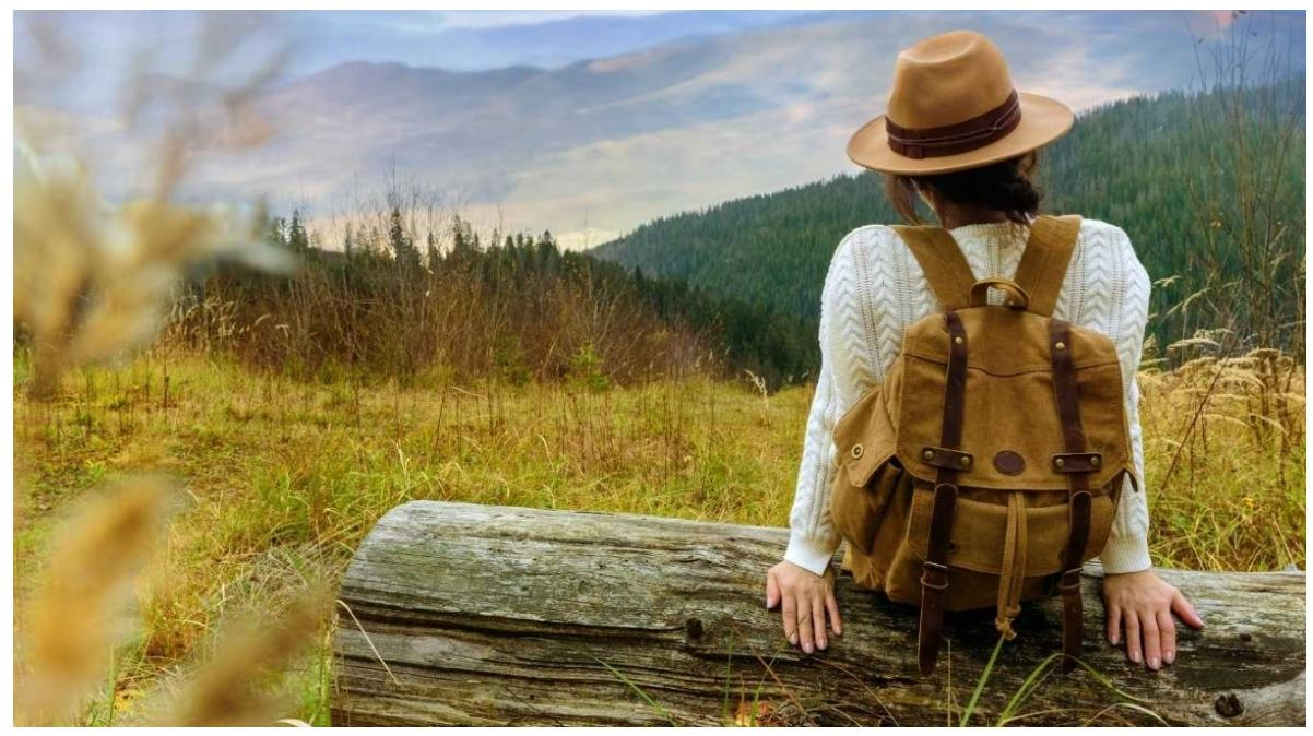 The Ultimate Guide to Essential Herbal Supplements for Travel