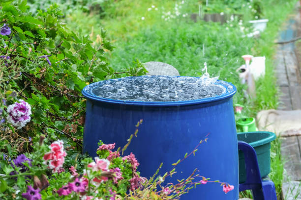 Capturing Every Drop: The Ultimate Guide to Rainwater Harvesting Systems