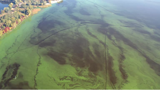 A Comprehensive Guide to Modern Ocean Threats: From Pollution to Deep-Sea Mining