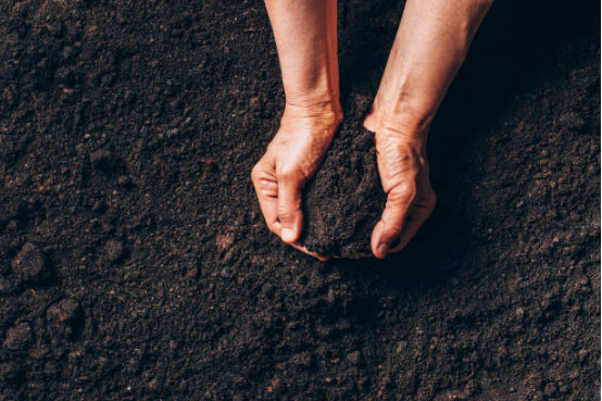 The Ultimate Guide to Garden Soil Types: Mastering Your Planting Foundation